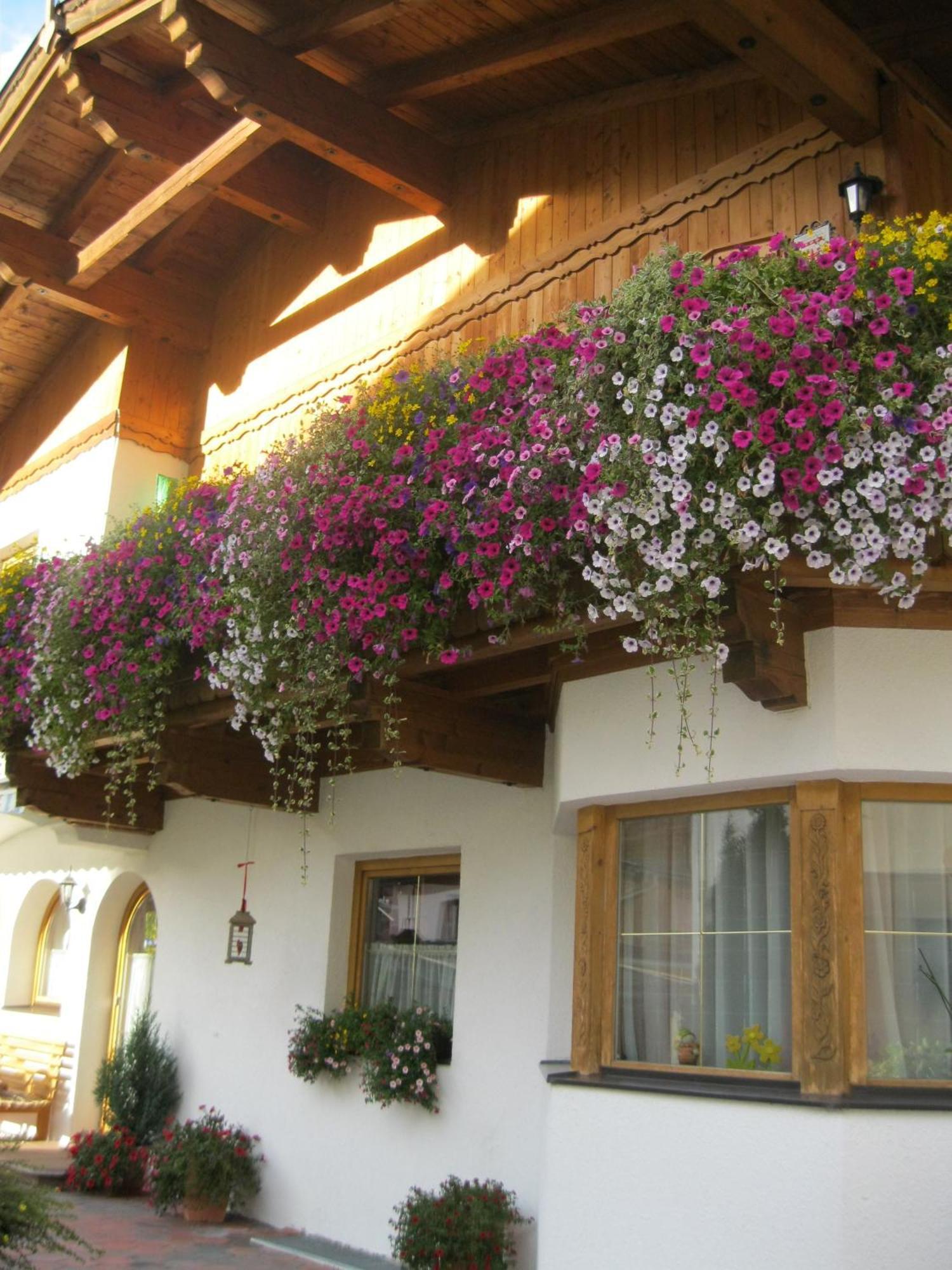 Haus Reiterer Apartman Neustift im Stubaital Kültér fotó