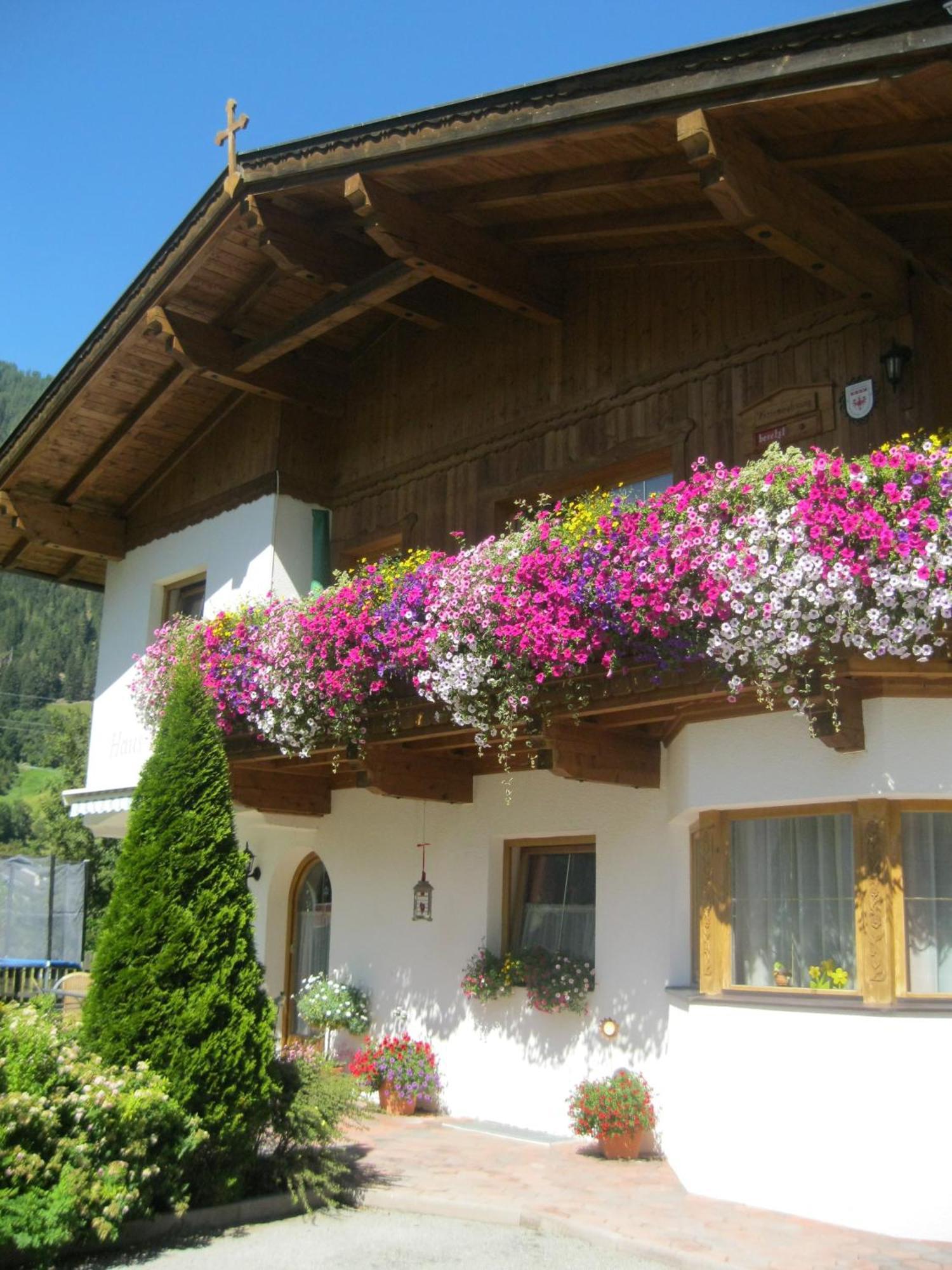 Haus Reiterer Apartman Neustift im Stubaital Kültér fotó